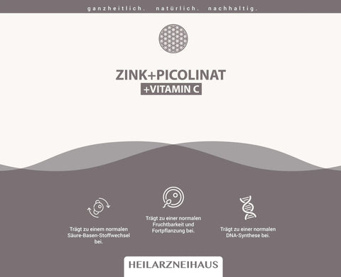 Zink Picolinat + Vitamin C Kapseln HM Heilarzneihaus Medica