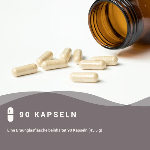 Zink Picolinat + Vitamin C Kapseln HM Heilarzneihaus Medica