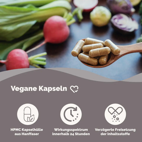 Zink Picolinat + Vitamin C Kapseln HM Heilarzneihaus Medica