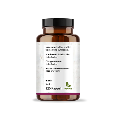 OPC Traubenkernextrakt + Vitamin C Kapseln: Pinienrindenextrakt HM Heilarzneihaus Medica