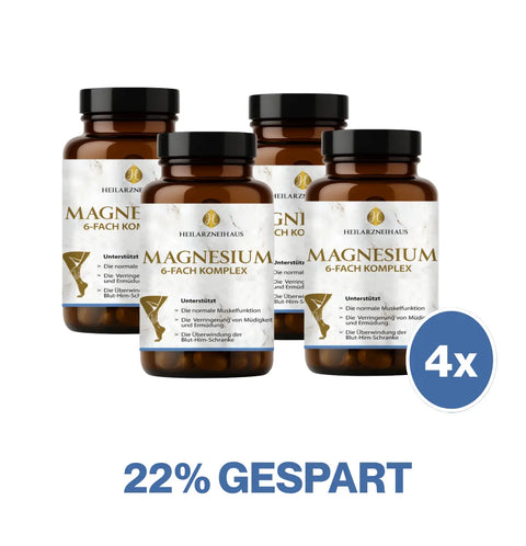 Magnesium 6-Fach Komplex hochdosiert Kapseln HM Heilarzneihaus Medica