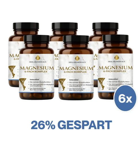 Magnesium 6-Fach Komplex hochdosiert Kapseln HM Heilarzneihaus Medica