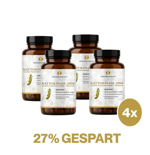 Nattokinase Kapseln – Natürlich fermentiertes Enzym für deine Gesundheit HM Heilarzneihaus Medica