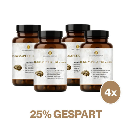Vitamin B-Komplex hochdosiert Kapseln HM Heilarzneihaus Medica