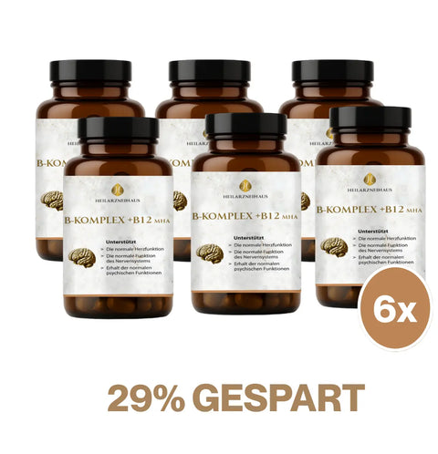 Vitamin B-Komplex hochdosiert Kapseln HM Heilarzneihaus Medica