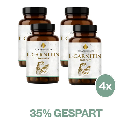 L-Carnitin Kapseln HM Heilarzneihaus Medica