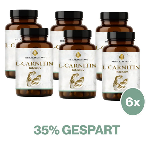 L-Carnitin Kapseln HM Heilarzneihaus Medica