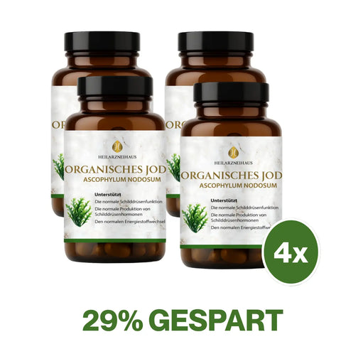 Jod 250 Kapseln: Schwangerschaft & Stillzeit HM Heilarzneihaus Medica