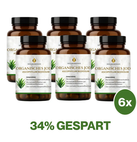 Jod 250 Kapseln: Schwangerschaft & Stillzeit HM Heilarzneihaus Medica
