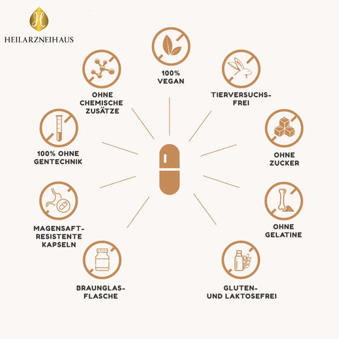 Vitamin B-Komplex hochdosiert Kapseln HM Heilarzneihaus Medica