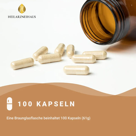 Vitamin B-Komplex hochdosiert Kapseln HM Heilarzneihaus Medica