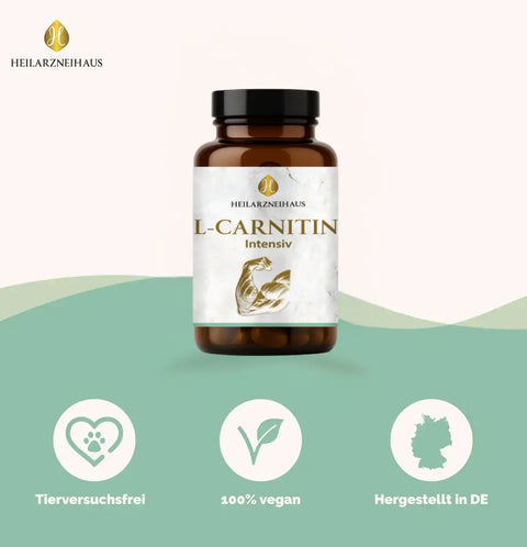 L-Carnitin Kapseln HM Heilarzneihaus Medica