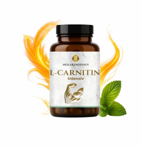 L-Carnitin Kapseln HM Heilarzneihaus Medica