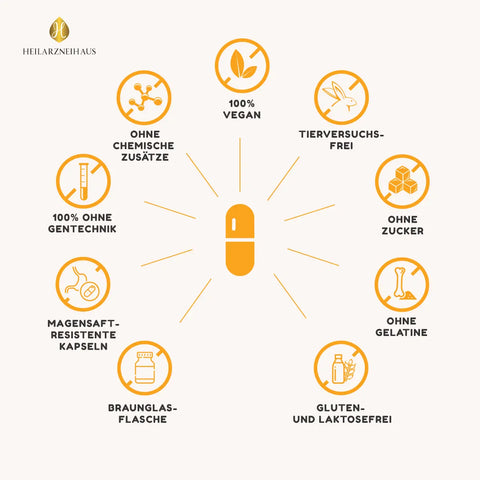 Curcumin + vitamin c kapseln: camu camu + kurkuma HM Heilarzneihaus Medica