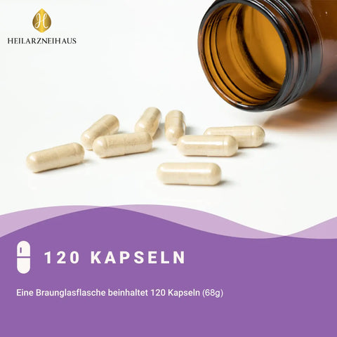 Eisen 45mg + Vitamin C hochdosiert Kapseln: Eisenbisglycinat HM Heilarzneihaus Medica