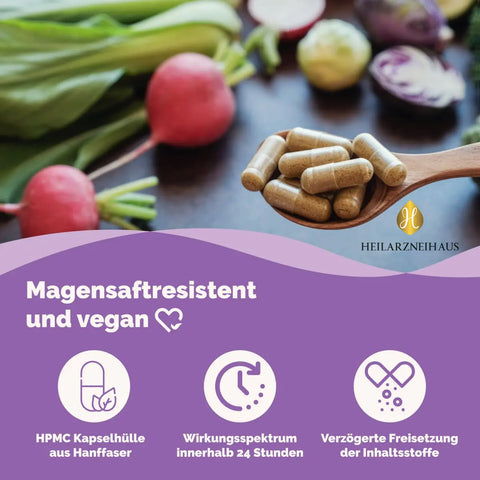 Eisen 45mg + Vitamin C hochdosiert Kapseln: Eisenbisglycinat HM Heilarzneihaus Medica