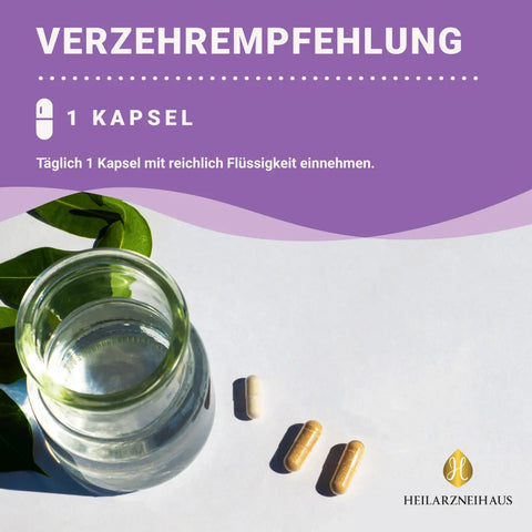 Eisen 45mg + Vitamin C hochdosiert Kapseln: Eisenbisglycinat HM Heilarzneihaus Medica