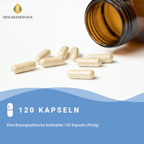 Magnesium 6-Fach Komplex hochdosiert Kapseln HM Heilarzneihaus Medica