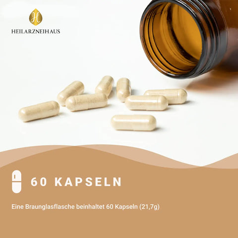 Probiotische Darmbakterien Kapseln HM Heilarzneihaus Medica
