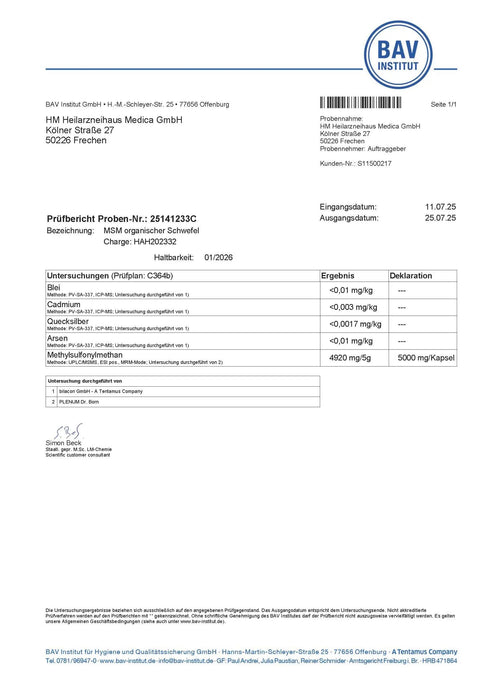 MSM Pulver: Organischer Schwefel HM Heilarzneihaus Medica