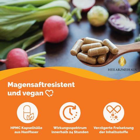 Multivitamin + Multimineral Kapseln HM Heilarzneihaus Medica