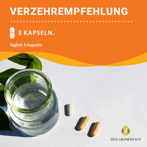 Multivitamin + Multimineral Kapseln HM Heilarzneihaus Medica