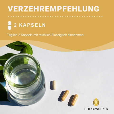 Nattokinase + L-Arginin + OPC Traubenkernextrakt Kapseln HM Heilarzneihaus Medica
