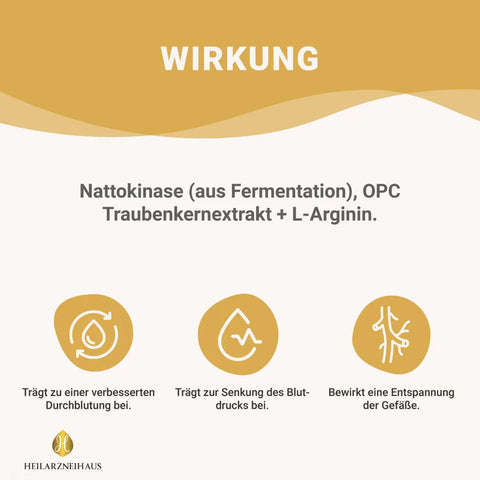 Nattokinase + L-Arginin + OPC Traubenkernextrakt Kapseln HM Heilarzneihaus Medica