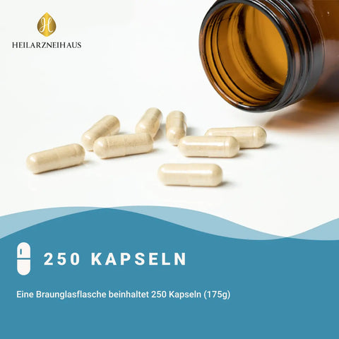 MSM Kapseln OptiMSM® + Vitamin C Kapseln HM Heilarzneihaus Medica