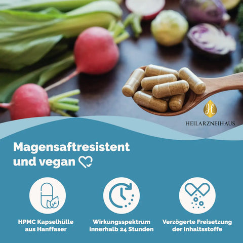 MSM Kapseln OptiMSM® + Vitamin C Kapseln HM Heilarzneihaus Medica