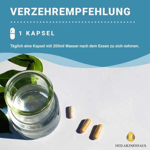 MSM Kapseln OptiMSM® + Vitamin C Kapseln HM Heilarzneihaus Medica