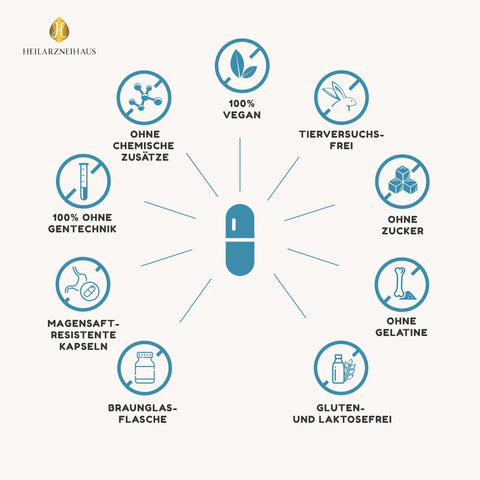 MSM Kapseln OptiMSM® + Vitamin C Kapseln HM Heilarzneihaus Medica