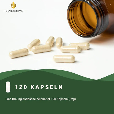 Mindesthaltbarkeit : September 2025 Jod 250 Kapseln HM Heilarzneihaus Medica