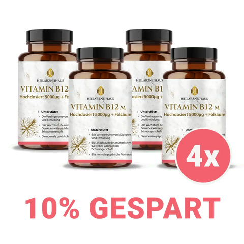 Mindesthaltbarkeit :September 2025 Vitamin B12 hochdosiert + Folsäure Kapseln HM Heilarzneihaus Medica