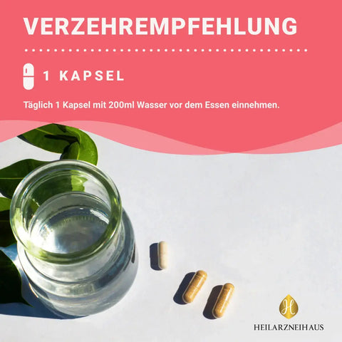 Mindesthaltbarkeit :September 2025 Vitamin B12 hochdosiert + Folsäure Kapseln HM Heilarzneihaus Medica