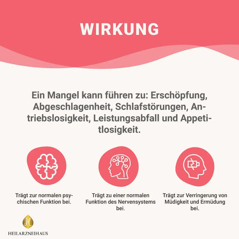 Mindesthaltbarkeit :September 2025 Vitamin B12 hochdosiert + Folsäure Kapseln HM Heilarzneihaus Medica