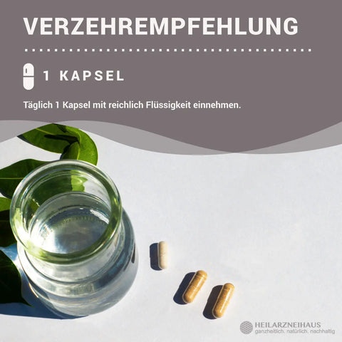 Zink Picolinat + Vitamin C Kapseln HM Heilarzneihaus Medica