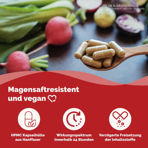 Astaxanthin AstaZine® Rotalge 4mg Kapseln HM Heilarzneihaus Medica