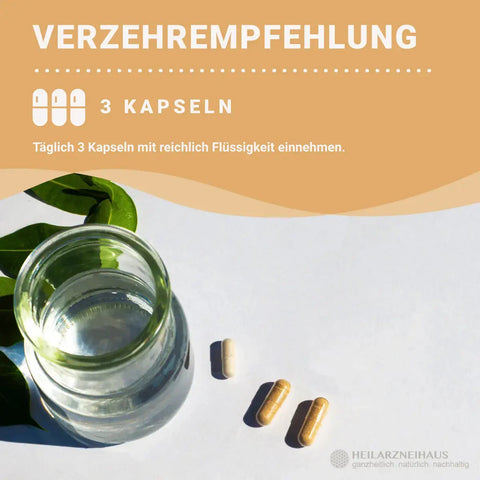 Mindesthaltbarkeit : Oktober 2025 Boswellia Serrata Weihrauch Kapseln: Wildsammlung HM Heilarzneihaus Medica