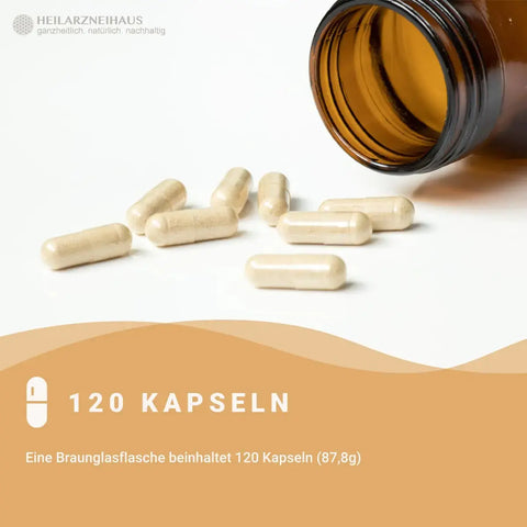 Mindesthaltbarkeit : Oktober 2025 Boswellia Serrata Weihrauch Kapseln: Wildsammlung HM Heilarzneihaus Medica