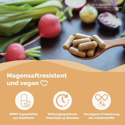 Mindesthaltbarkeit : Oktober 2025 Boswellia Serrata Weihrauch Kapseln: Wildsammlung HM Heilarzneihaus Medica