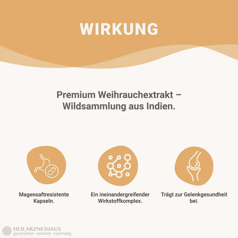 Mindesthaltbarkeit : Oktober 2025 Boswellia Serrata Weihrauch Kapseln: Wildsammlung HM Heilarzneihaus Medica