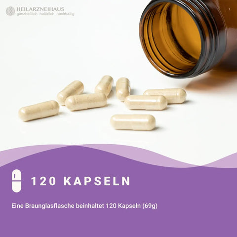 Eisen 45mg + Vitamin C hochdosiert Kapseln: Eisenbisglycinat HM Heilarzneihaus Medica