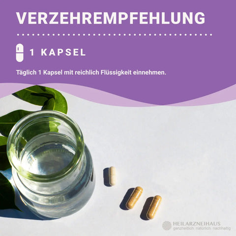 Eisen 45mg + Vitamin C hochdosiert Kapseln: Eisenbisglycinat HM Heilarzneihaus Medica