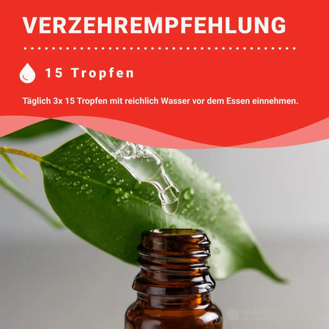 Grapefruitkernextrakt 2600mcg Tropfen Vegan HM Heilarzneihaus Medica