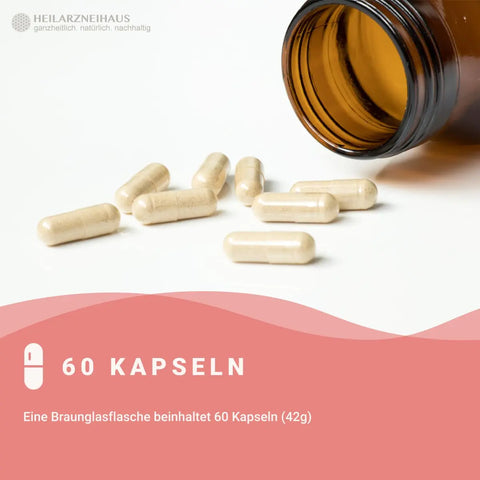 Hyaluron + Biotin hochdosiert Kapseln HM Heilarzneihaus Medica
