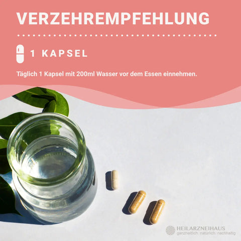 Hyaluron + Biotin hochdosiert Kapseln HM Heilarzneihaus Medica