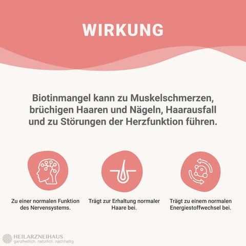 Hyaluron + Biotin hochdosiert Kapseln HM Heilarzneihaus Medica