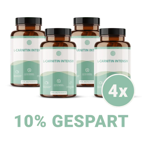 L-Carnitin Kapseln: zum Abnehmen HM Heilarzneihaus Medica