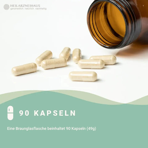 L-Carnitin Kapseln: zum Abnehmen HM Heilarzneihaus Medica